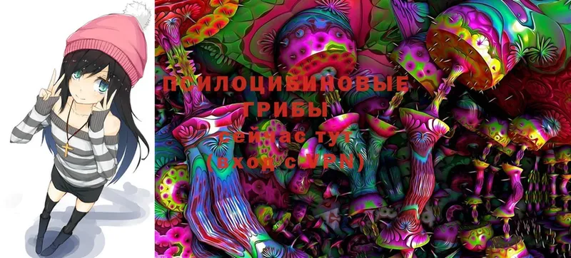 купить закладку  Зеленокумск  Псилоцибиновые грибы Cubensis 